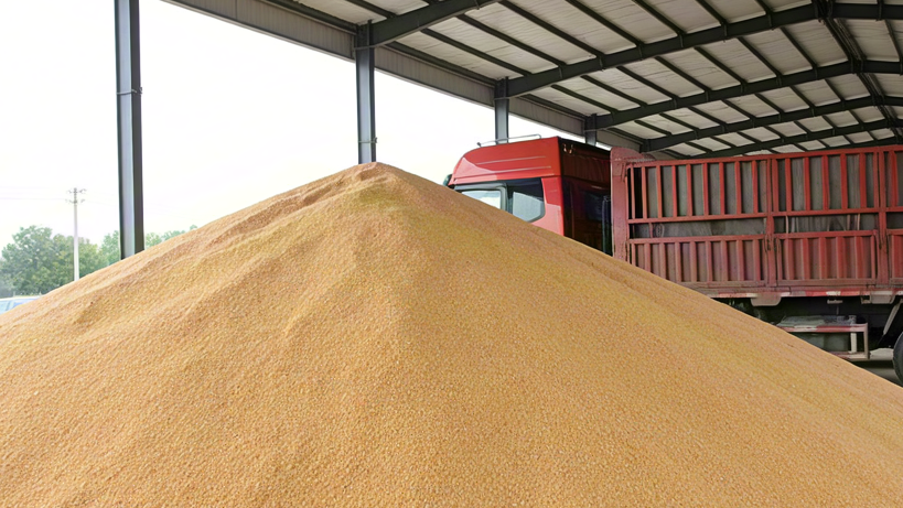 国产 3D 雷达物位计崛起：穿透工业粉尘壁垒，开启智能测量新时代